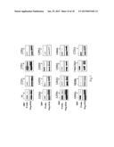 Method of Screening Therapeutic Agent for Treating Inflammatory Diseases diagram and image