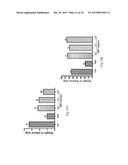 Method of Screening Therapeutic Agent for Treating Inflammatory Diseases diagram and image