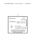 METHODS AND MATERIALS FOR REDUCING DEGRADATION OF RECOMBINANT PROTEINS diagram and image