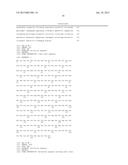 METHODS AND MATERIALS FOR REDUCING DEGRADATION OF RECOMBINANT PROTEINS diagram and image