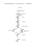 MEMBRANE BIOREACTOR FOR INCREASED PRODUCTION OF ISOPRENE GAS diagram and image