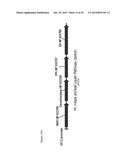 MEMBRANE BIOREACTOR FOR INCREASED PRODUCTION OF ISOPRENE GAS diagram and image