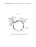 MEMBRANE BIOREACTOR FOR INCREASED PRODUCTION OF ISOPRENE GAS diagram and image