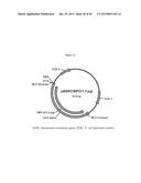 MEMBRANE BIOREACTOR FOR INCREASED PRODUCTION OF ISOPRENE GAS diagram and image