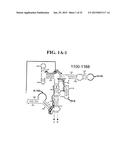 METHODS FOR RAPID FORENSIC ANALYSIS OF MITOCHONDRIAL DNA AND     CHARACTERIZATION OF MITOCHONDRIAL DNA HETEROPLASMY diagram and image