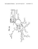 METHODS FOR RAPID FORENSIC ANALYSIS OF MITOCHONDRIAL DNA AND     CHARACTERIZATION OF MITOCHONDRIAL DNA HETEROPLASMY diagram and image