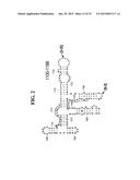 METHODS FOR RAPID FORENSIC ANALYSIS OF MITOCHONDRIAL DNA AND     CHARACTERIZATION OF MITOCHONDRIAL DNA HETEROPLASMY diagram and image