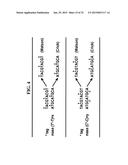 METHODS FOR RAPID FORENSIC ANALYSIS OF MITOCHONDRIAL DNA AND     CHARACTERIZATION OF MITOCHONDRIAL DNA HETEROPLASMY diagram and image