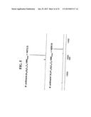 METHODS FOR RAPID FORENSIC ANALYSIS OF MITOCHONDRIAL DNA AND     CHARACTERIZATION OF MITOCHONDRIAL DNA HETEROPLASMY diagram and image