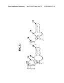 METHODS FOR RAPID FORENSIC ANALYSIS OF MITOCHONDRIAL DNA AND     CHARACTERIZATION OF MITOCHONDRIAL DNA HETEROPLASMY diagram and image