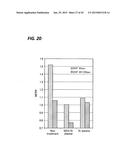 FILM FORMING PROCESS AND FILM FORMING APPARATUS diagram and image