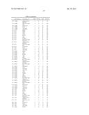 METHODS AND COMPOSITIONS FOR THE DIAGNOSIS, PROGNOSIS AND TREATMENT OF     ACUTE MYELOID LEUKEMIA diagram and image