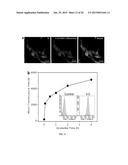 AMPHIPHILIC DRUG-DRUG CONJUGATES FOR CANCER THERAPY, COMPOSITIONS AND     METHODS OF PREPARATION AND USES THEREOF diagram and image