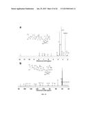 AMPHIPHILIC DRUG-DRUG CONJUGATES FOR CANCER THERAPY, COMPOSITIONS AND     METHODS OF PREPARATION AND USES THEREOF diagram and image