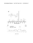 AMPHIPHILIC DRUG-DRUG CONJUGATES FOR CANCER THERAPY, COMPOSITIONS AND     METHODS OF PREPARATION AND USES THEREOF diagram and image