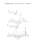 AMPHIPHILIC DRUG-DRUG CONJUGATES FOR CANCER THERAPY, COMPOSITIONS AND     METHODS OF PREPARATION AND USES THEREOF diagram and image