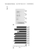 ETHOXYPHENYL THIENYL COMPOUNDS AND METHODS FOR THE TREATMENT OFBACTERIAL     INFECTIONS diagram and image