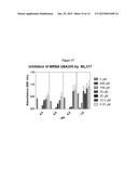 ETHOXYPHENYL THIENYL COMPOUNDS AND METHODS FOR THE TREATMENT OFBACTERIAL     INFECTIONS diagram and image