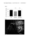 RHO KINASE INHIBITORS FOR USE IN TREATING AMYOTROPHIC LATERAL SCLEROSIS diagram and image