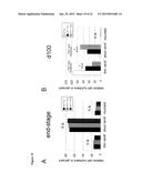 RHO KINASE INHIBITORS FOR USE IN TREATING AMYOTROPHIC LATERAL SCLEROSIS diagram and image