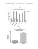 Cyclooxygenase Inhibitor and Calcium Channel Antagonist Compositions and     Methods for Use in Urological Procedures diagram and image