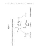 COATED LIPID COMPLEXES AND THEIR USE diagram and image