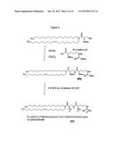 COATED LIPID COMPLEXES AND THEIR USE diagram and image