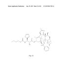 TRANSITION METAL COMPLEXES OF A BIS[THIOHYDRAZIDE AMIDE] COMPOUND diagram and image