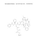 TRANSITION METAL COMPLEXES OF A BIS[THIOHYDRAZIDE AMIDE] COMPOUND diagram and image