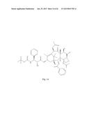 TRANSITION METAL COMPLEXES OF A BIS[THIOHYDRAZIDE AMIDE] COMPOUND diagram and image