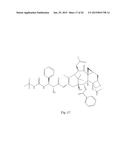 TRANSITION METAL COMPLEXES OF A BIS[THIOHYDRAZIDE AMIDE] COMPOUND diagram and image