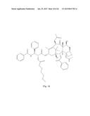 TRANSITION METAL COMPLEXES OF A BIS[THIOHYDRAZIDE AMIDE] COMPOUND diagram and image