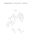TRANSITION METAL COMPLEXES OF A BIS[THIOHYDRAZIDE AMIDE] COMPOUND diagram and image