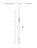 Process for Producing a Powder Comprising an Extruded Carrier With an     Active Compound diagram and image