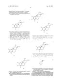 PROCESS FOR THE PREPARATION OF PYRIDO[2,1-a] ISOQUINOLINE DERIVATIVES BY     CATALYTIC ASYMMETRIC HYDROGENATION OF AN ENAMINE diagram and image