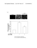 PHARMACEUTICAL COMPOSITION COMPRISING BICYCLIC PYRIDINOL DERIVATIVES FOR     PREVENTING OR TREATING DISEASES CAUSED BY ANGIOGENESIS diagram and image