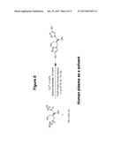 COPPER-CATALYSED LIGATION OF AZIDES AND ACETYLENES diagram and image