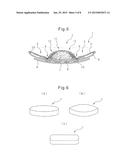 ABSORBENT ARTICLE AND METHOD OF MANUFACTURING SAME diagram and image