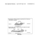 DESIGN OF A CONDUIT FOR PERIPHERAL NERVE REPLACEMENT diagram and image