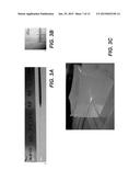 METHODS AND APPARATUS FOR OMNIDIRECTIONAL TISSUE ILLUMINATION diagram and image