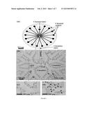 MICROFLUIDIC PLATFORM AND METHODS FOR USING THE SAME diagram and image