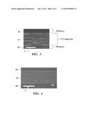 CARBON NANOTUBE-POLYMER COMPOSITE AND PROCESS FOR MAKING SAME diagram and image