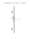 Nuclear Magnetic Resonance Tool With External Magnets diagram and image