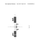 Nuclear Magnetic Resonance Tool With External Magnets diagram and image