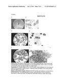 BIOSCICON S CELLPHONE CAMERA - MICROSCOPE UNIVERSAL ADAPTER diagram and image