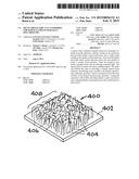 METAL-DIELECTRIC-CNT NANOWIRES FOR SURFACE-ENHANCED RAMAN SPECTROSCOPY diagram and image