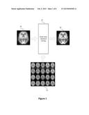 INTERACTIVE OPTIMIZATION OF SCAN DATABASES FOR STATISTICAL TESTING diagram and image