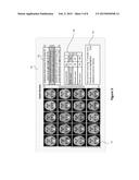 INTERACTIVE OPTIMIZATION OF SCAN DATABASES FOR STATISTICAL TESTING diagram and image