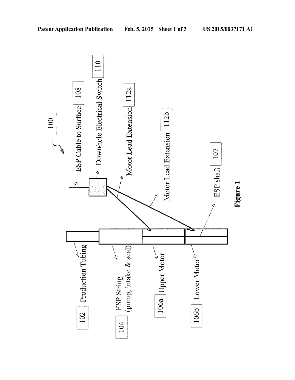 ELECTRIC SUBMERSIBLE PUMP HAVING A PLURALITY OF MOTORS OPERATIVELY COUPLED     THERETO AND METHODS OF USING - diagram, schematic, and image 02