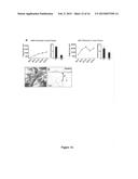 Methods of Modulating Smooth Muscle Cell Proliferation and Differentiation diagram and image